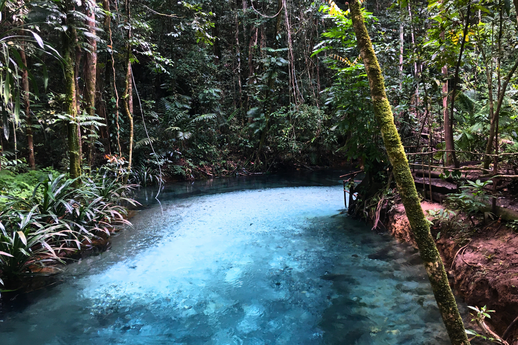 Why Kalibiru Raja Ampat May Be Indonesia’s Most Pristine Waters Yet