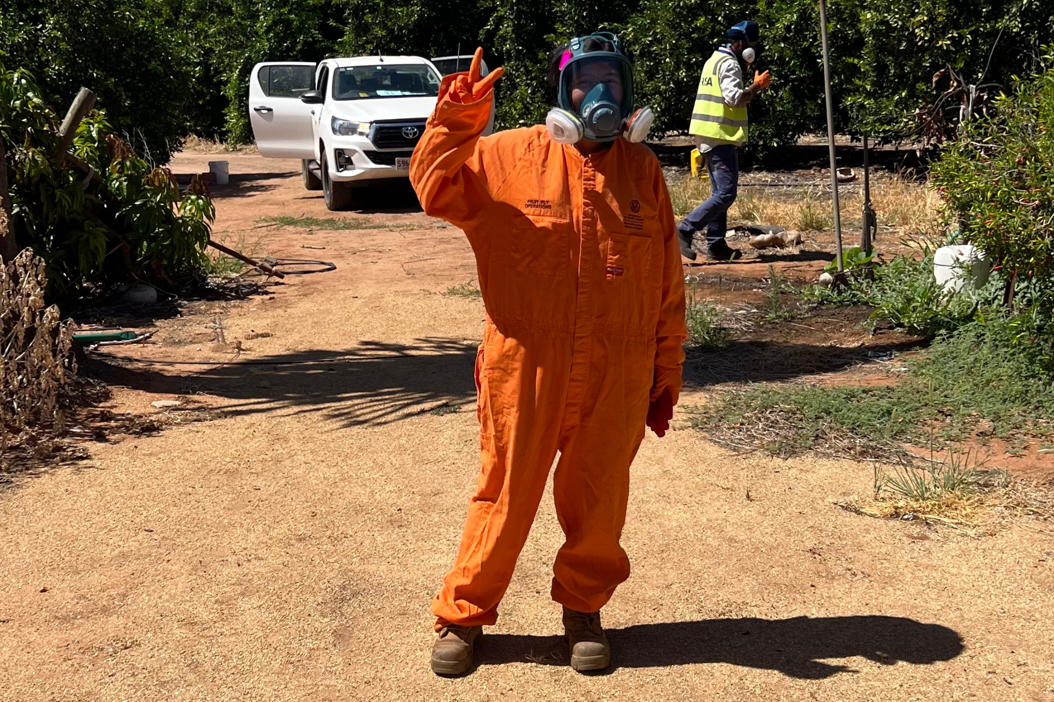 Work Overseas Jobs: A Complete Guide to the Work and Holiday Australia Visa